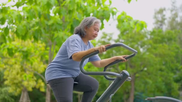 Asiatische Seniorin Lockeren Workout Trainingsstationen Öffentlichen Park Stellt Dar Jung — Stockvideo