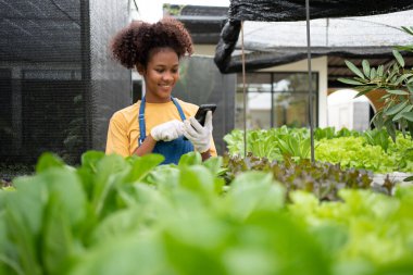 Yarı Taylandlı yarı Afrikalı kadın çiftçinin portresi sebze tezgahının arkasında duruyor ve akıllı telefonu kontrol emri olarak kullanıyor. Sağlık, vejetaryen gıda ve küçük işletmeler için organik tarım kavramı.