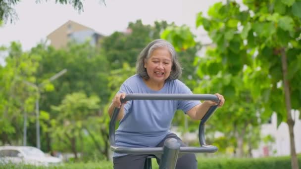 Senior Donna Asiatica Allenamento Casuale Stazioni Esercizio Nel Parco Pubblico — Video Stock