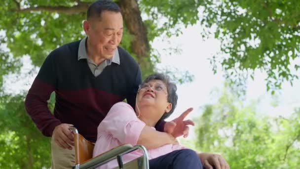 Літні Пари Або Доглядачі Піклуються Про Пацієнта Інвалідному Візку Концепція — стокове відео