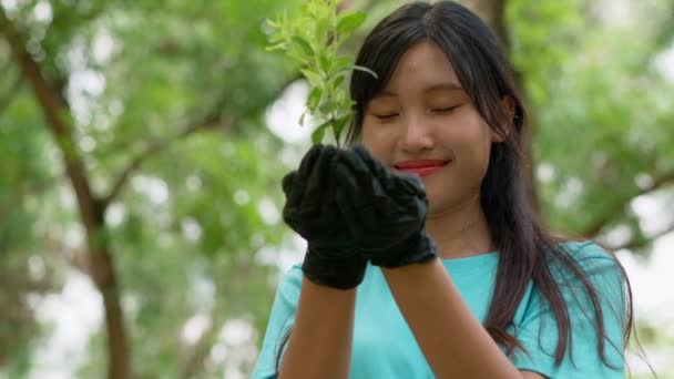Bir Grup Asyalı Gönüllü Birlikte Çevreyi Onarmak Için Ağaç Fideleri — Stok video