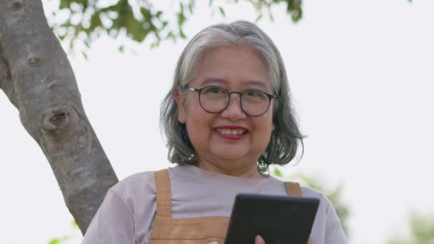 Mulher Sênior Asiática Feliz Usando Computador Tablet Line Internet Procurando — Vídeo de Stock
