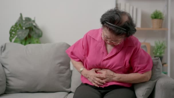 腹を抱えている不健康な成熟した女性 患者の食物中毒によって引き起こされる重度の胃の痛みは細菌感染を有する 消化管系疾患 消化胃炎 腹痛の概念 — ストック動画