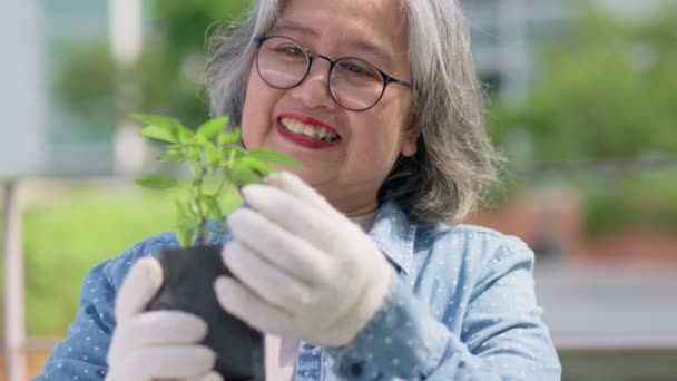 Mutlu Bir Yaşlı Kadın Portresi Emeklilik Şehrin Yakınındaki Bir Bahçe — Stok video