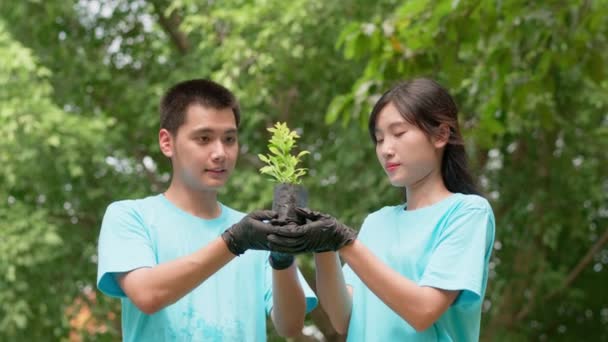Bir Grup Asyalı Gönüllü Birlikte Çevreyi Onarmak Için Ağaç Fideleri — Stok video