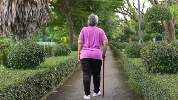 高齢のアジア人女性がウォーカーを使い 病院の裏庭を歩いている 身体療法 リハビリテーション シニアヘルス保険のコンセプト シニアケア 変形性関節炎のための医療 — ストック動画