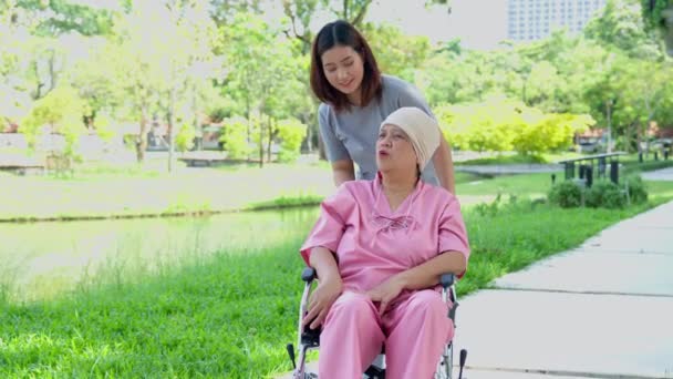 Asiatische Pflegekraft Oder Krankenschwester Und Krebskranke Frau Sitzt Rollstuhl Garten — Stockvideo