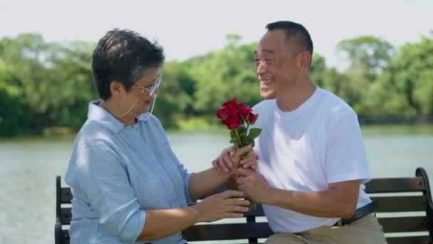 Anniversario Sorpresa Romantico Uomo Anziano Dona Fiore Rosa Rossa Sua — Video Stock