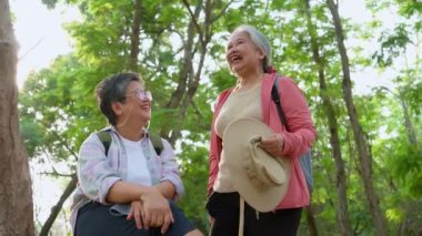 Son sınıf emeklilik aktivitesi, Orman gezisindeki mutlu kıdemli arkadaşlar tatil boyunca yürüyüş yaptıktan sonra dinlenin, sırt çantalı turist seyahati tatil macerası