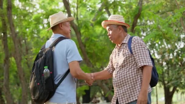 退職活動 ハッピーシニアの友人が手を握り 長い間お互いを見ていない後に抱き合う 観光客は古い友人に会うために戻る — ストック動画