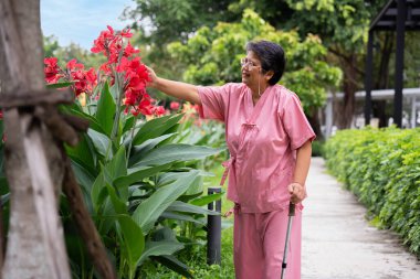 Emekli yaşlı hasta Asyalı kadınlar rehabilitasyondan sonra baston kullanır ve hastane parkında yürürler ve hastalık iyileşir. sağlıklı güçlü tıbbi konsept.