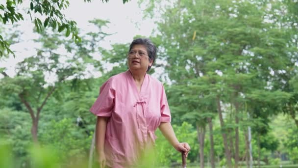 退職した高齢の患者アジアの女性は リハビリテーション後 病院の屋外公園で杖を使用し 病気を治しました 健康で強力な医療コンセプト — ストック動画