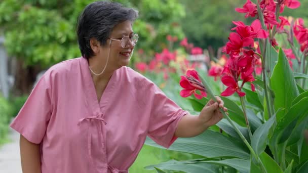 Emerytura Podeszłym Wieku Starsze Pacjentki Azjatyckie Kobiety Używają Trzciny Cukrowej — Wideo stockowe