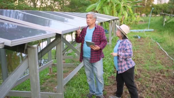 Viejos Agricultores Asiáticos Utilizan Tabletas Para Ajustar Grado Células Solares — Vídeos de Stock