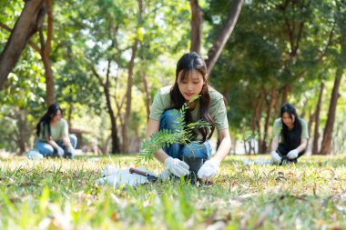 Gönüllüler, ağaç dikmek ve bitkilerle ilgilenmek için işbirliği yaparken sorumluluk ve takım çalışması gösteriyorlar. Çabaları sürdürülebilirliği ve korunmayı destekliyor, Dünya 'nın gelişmesine yardımcı oluyor. Gönüllü kavramı