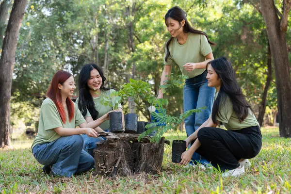 Gönüllüler, ağaç dikmek ve bitkilerle ilgilenmek için işbirliği yaparken sorumluluk ve takım çalışması gösteriyorlar. Çabaları sürdürülebilirliği ve korunmayı destekliyor, Dünya 'nın gelişmesine yardımcı oluyor. Gönüllü kavramı
