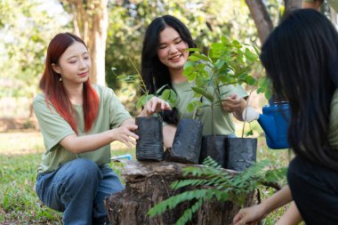 Gönüllüler, ağaç dikmek ve bitkilerle ilgilenmek için işbirliği yaparken sorumluluk ve takım çalışması gösteriyorlar. Çabaları sürdürülebilirliği ve korunmayı destekliyor, Dünya 'nın gelişmesine yardımcı oluyor. Gönüllü kavramı