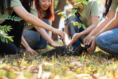 Gönüllüler, bakım ve takım çalışması yoluyla sorumluluk ve kararlılık göstererek, gelecek nesiller için doğanın korunmasında sürdürülebilirliği sağlamak için çaba ve işbirliğini birleştirirler..