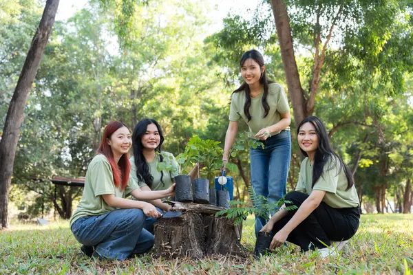 Gönüllüler, ağaç dikmek ve bitkilerle ilgilenmek için işbirliği yaparken sorumluluk ve takım çalışması gösteriyorlar. Çabaları sürdürülebilirliği ve korunmayı destekliyor, Dünya 'nın gelişmesine yardımcı oluyor. Gönüllü kavramı