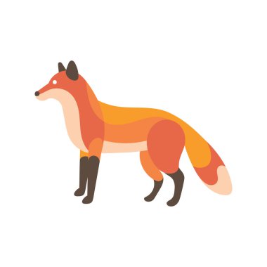 Bir kızıl tilki öne ve öne bakıyor..