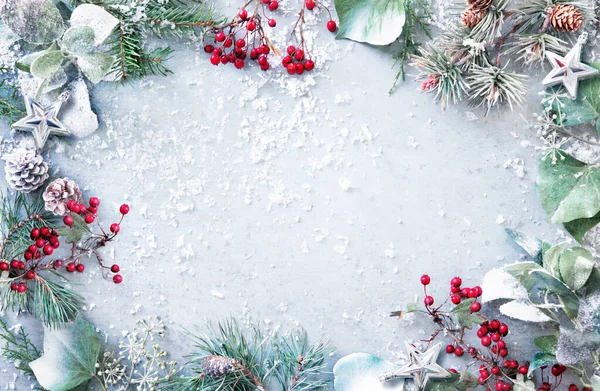 冬のモミの枝 松のコーン 常緑植物や雪の背景に果実とフラットレイアウト組成 クリスマスと新年のコンセプト トップ表示 — ストック写真