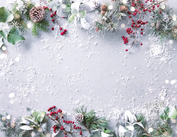 冬のモミの枝 松のコーン 常緑植物や雪の背景に果実とフラットレイアウト組成 クリスマスと新年のコンセプト トップ表示 — ストック写真