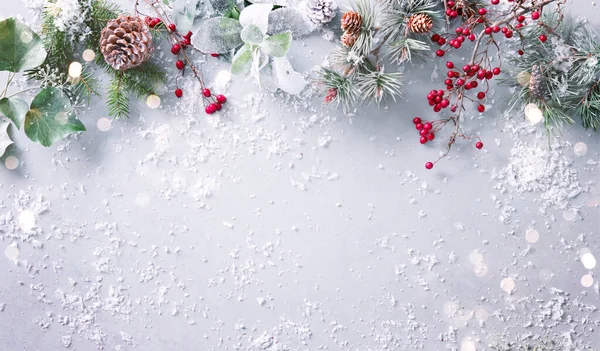 Lapos Kompozíció Téli Fenyőágakkal Fenyőtobozokkal Örökzöld Növényekkel Bogyókkal Havas Háttérrel — Stock Fotó