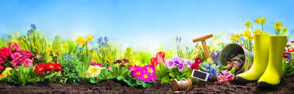 Spring Flowers Gardening Tools Garden Front Blue Sky — Stock Photo, Image