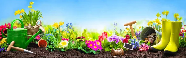 Весняні Квіти Садовими Інструментами Саду Перед Блакитним Небом — стокове фото