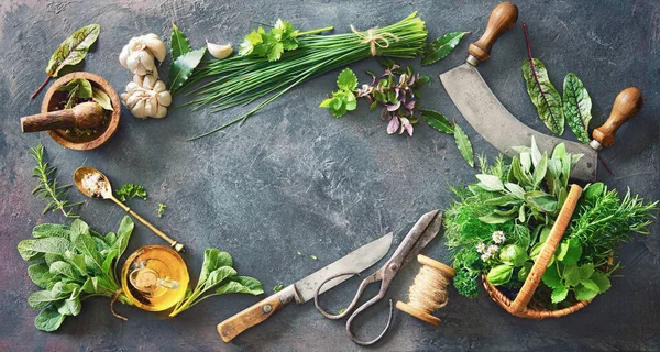 Különböző Friss Fűszernövények Kertből Konyhai Eszközökkel Rusztikus Asztalon Felülnézet Másolási — Stock Fotó