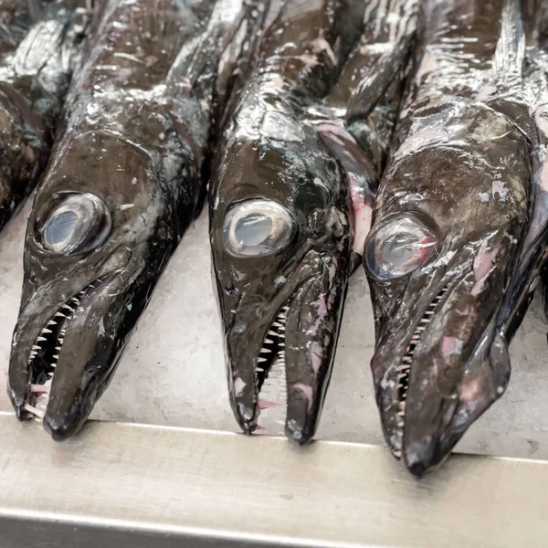 stock image three heads of Black Scabbardfish fish  at covered market, shot in bright fall light at Funchal, Madeira, Portugal