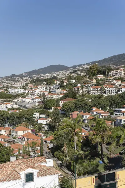 stock image aerial cityscape of historical town with lush vegetation among  houses on hills, shot in bright fall light from cableway at Funchal, Madeira, Portugal