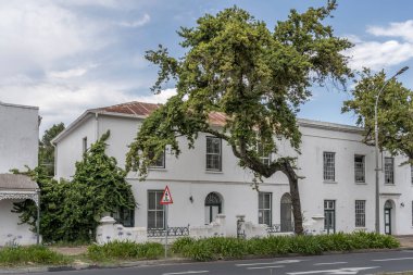 Şehir manzarası, geleneksel resimli evler ve sokakta büyük bir ağaç, parlak bulutlu yaz ışığında çekilmiş Stellenbosch, Batı Burnu, Güney Afrika