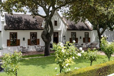 Bahçesinde geleneksel dövmeli çatı evi olan şehir manzarası, parlak yaz ışığında çekilen, Franschhoek, Batı Burnu, Güney Afrika