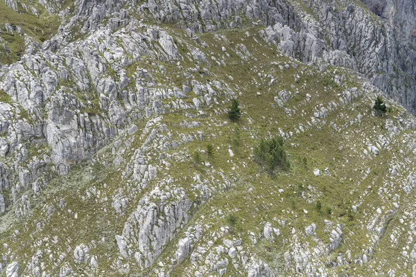 Peisaj Aerian Dintr Planor Copaci Împrăștiați Stânci Din Gama Langeberge — Fotografie, imagine de stoc