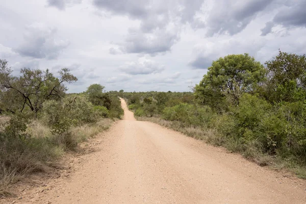 Paisaje Con Altibajos Camino Tierra Kruger Parque Salvaje Campo Disparo — Foto de Stock