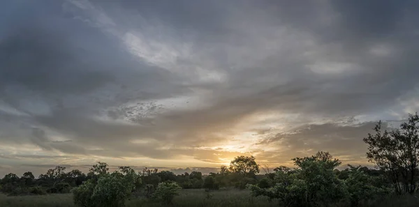 Landschaft Mit Sonnenuntergang Auf Buschland Kruger Park Wilde Landschaft Aufgenommen — Stockfoto