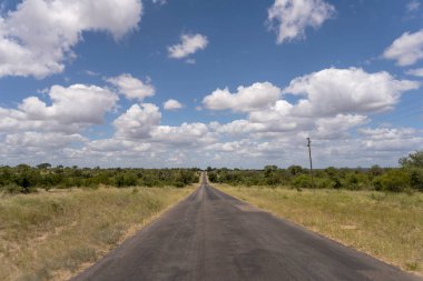 Kruger Park 'ın vahşi kırsal kesimindeki asfalt yollu manzara, parlak yaz ışığında gökyüzü manzarası altında, Mpumalanga, Güney Afrika