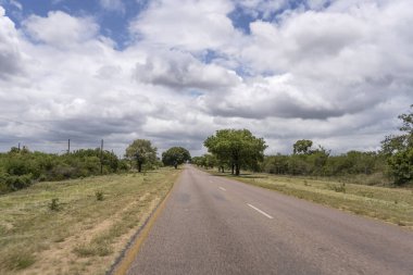 Timbavati yakınlarındaki R40 ağaçlık yolda az trafiği olan manzara, yaz ışığı altında gökyüzü manzarası altında çekiliyor, Mpumalanga, Güney Afrika