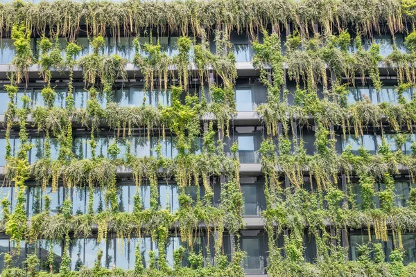 Stadtbild Mit Details Üppiger Vegetation Auf Moderner Fassade Stadtzentrum Gedreht — Stockfoto
