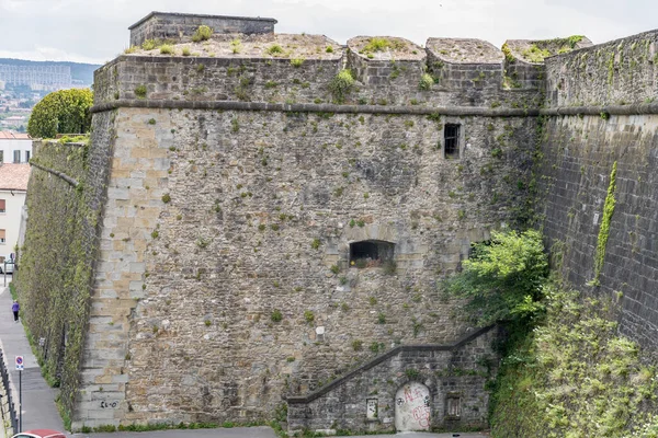 Stadtbild Mit Der Burg San Giusto Riesige Stadtmauern Aufgenommen Hellem — Stockfoto