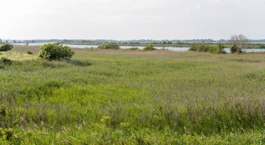 Ağız yakınındaki Isonzo nehri ile hava manzarası Caneo doğal alanı, Grado, Gorizia, Friuli, İtalya 'da parlak ışıkta çekildi.