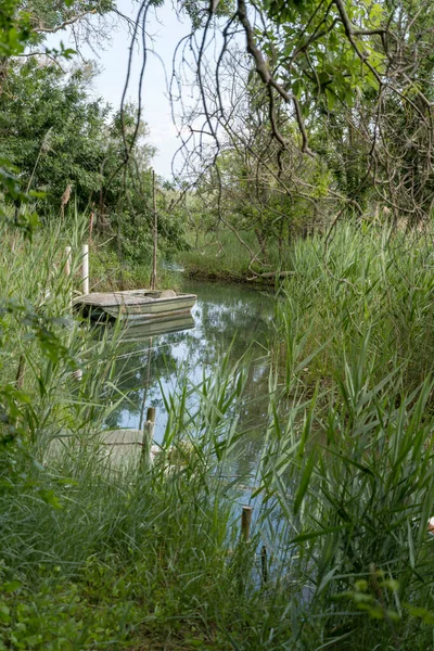 Boot Und Lagune Üppige Vegetation Aufgenommen Hellem Licht Caneo Naturgebiet — Stockfoto