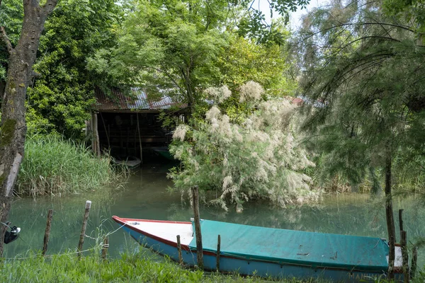 Verankertes Boot Und Blühender Tamariskenbaum Der Lagune Aufgenommen Hellem Licht — Stockfoto