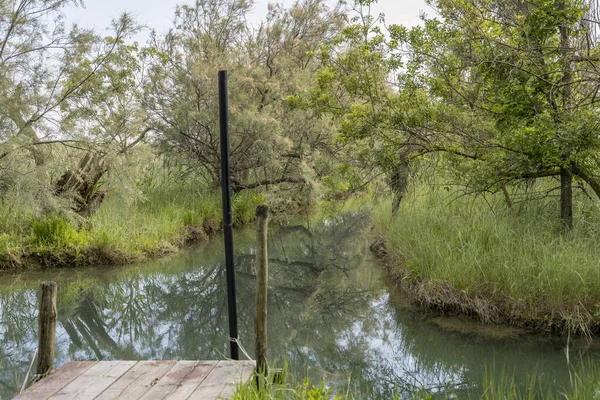 Die Üppige Vegetation Der Lagune Spiegelt Sich Wasser Einem Kleinen — Stockfoto