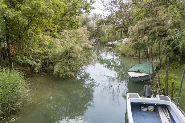 Csónak Csatorna Kikötő Virágzó Tamerisk Fák Lagúna Lövés Fényes Fényben — Stock Fotó