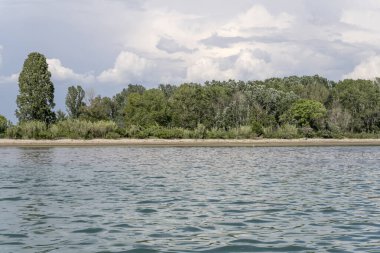  Primero Kanalı 'nın sol kıyısındaki yemyeşil bitki örtüsüyle deniz kenarında, Grado, Gorizia, Friuli, İtalya