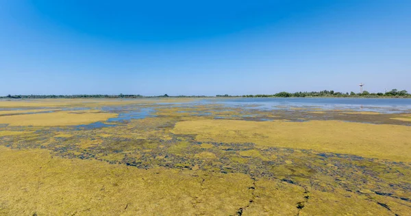 Landschap Met Lagunewateren Opgenomen Fel Licht Het Beschermde Natuurgebied Van — Stockfoto