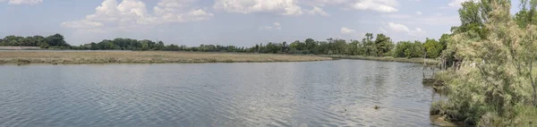 Landschaft Mit Kanälen Und Ufern Des Quaranta Kanals Aufgenommen Hellem — Stockfoto
