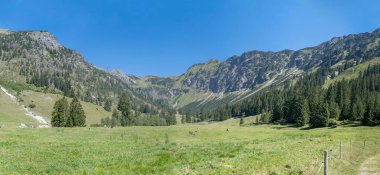 Nebelhorn bahn Seealpe istasyonundan doğuya bakan dağ manzarası, parlak yaz ışığında, Oberstodorf, Allgaeu, Bavyera, Almanya